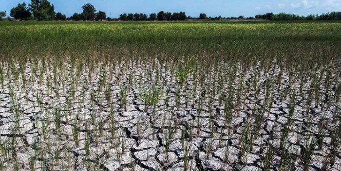 ماجرای پرداخت ۴۰۰ میلیاردی تنخواه برای حل مشکل آب کشاورزی و آشامیدنی