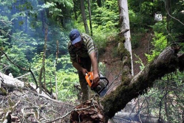 فرمانده یگان حفاظت منابع طبیعی گیلان عنوان کرد:تشدید مقابله با قاچاق چوب آلات جنگلی در شهرستان های گیلان